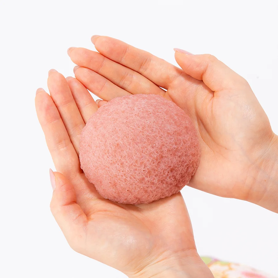 Camellia konjac face sponge held in two hands